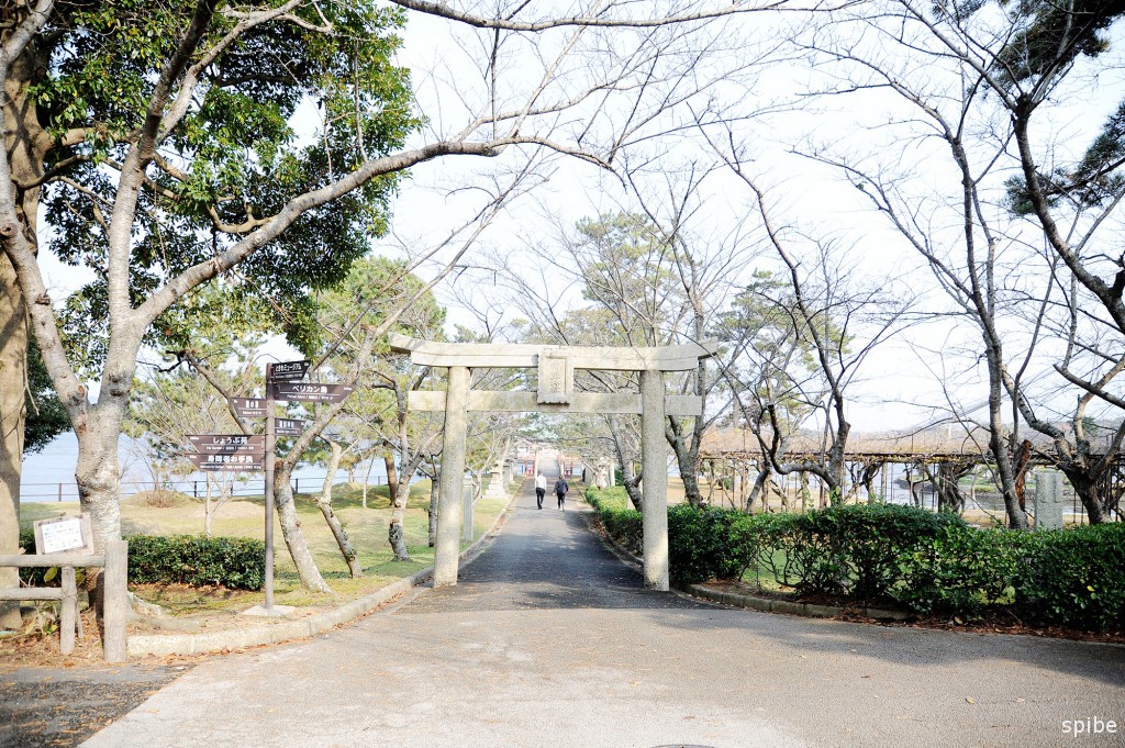 神社を撮る vol.14｜常盤神社 spibe